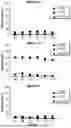 Fig. 17 - T CELL RECEPTORS WITH MAGE-B2 SPECIFICITY AND USES THEREOF