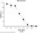 Fig. 19 - T CELL RECEPTORS WITH MAGE-B2 SPECIFICITY AND USES THEREOF