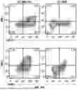 Fig. 22 - T CELL RECEPTORS WITH MAGE-B2 SPECIFICITY AND USES THEREOF