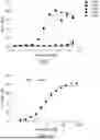 Fig. 02 - HIGH AFFINITY HUMAN AND MONKEY SPECIFIC TFR-1 VNARS