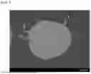 Fig. 06 - ß-SIALON FLUORESCENT MATERIAL AND LIGHT EMITTING DEVICE