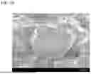 Fig. 13 - ß-SIALON FLUORESCENT MATERIAL AND LIGHT EMITTING DEVICE