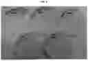 Fig. 06 - BIOMINERALIZATION VECTOR AND TRANSFORMANT FOR TRANSFORMATION OF CHLORELLA VULGARIS