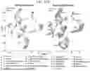 Fig. 62 - METHODS OF GENERATING A SYNTHETIC EMBRYO