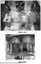 Fig. 74 - METHODS OF GENERATING A SYNTHETIC EMBRYO