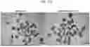 Fig. 85 - METHODS OF GENERATING A SYNTHETIC EMBRYO