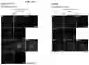 Fig. 90 - METHODS OF GENERATING A SYNTHETIC EMBRYO