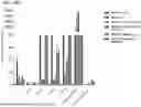 Fig. 91 - METHODS OF GENERATING A SYNTHETIC EMBRYO