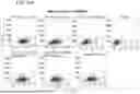 Fig. 93 - METHODS OF GENERATING A SYNTHETIC EMBRYO