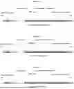 Fig. 02 - CODON-OPTIMIZED ACID ALPHA-GLUCOSIDASE EXPRESSION CASSETTES AND METHODS OF USING SAME