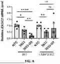 Fig. 07 - DEGRADATION OF RNA BY THE LYSOSOMAL PATHWAY
