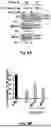Fig. 22 - MEANS AND METHODS FOR REDUCING TUMORIGENICITY OF CANCER STEM CELLS