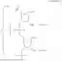 Fig. 02 - Interferon Production Using Short RNA Duplexes