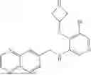 Fig. 166 - APTAMERS AND SMALL MOLECULE LIGANDS