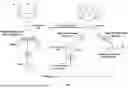 Fig. 02 - MICROORGANISMS AND METHODS FOR PRODUCING CIS,CIS-MUCONIC ACID