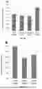 Fig. 07 - SOYBEAN PROMOTERS AND USES THEREOF