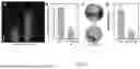 Fig. 02 - METHOD FOR PREPARING BROWN PLANTHOPPER RESISTANT PLANTS USING RICE BROWN PLANTHOPPER RESISTANCE GENE BPH33.2