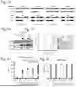 Fig. 07 - Controllable Transcription