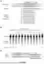 Fig. 08 - DELIVERY AND USE OF THE CRISPR-CAS SYSTEMS, VECTORS AND COMPOSITIONS FOR HEPATIC TARGETING AND THERAPY