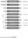 Fig. 76 - DELIVERY AND USE OF THE CRISPR-CAS SYSTEMS, VECTORS AND COMPOSITIONS FOR HEPATIC TARGETING AND THERAPY