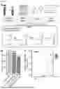 Fig. 02 - COMPOSITIONS AND METHODS RELATED TO TET-ASSISTED PYRIDINE BORANE SEQUENCING FOR CELL-FREE DNA