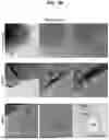 Fig. 07 - METHOD OF MANUFACTURING DEHYDROGENATION CATALYST USING ATOMIC LAYER DEPOSITION