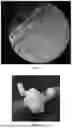 Fig. 02 - PREPARATION METHOD OF AEROGEL FIBER AND USE