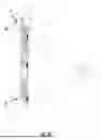 Fig. 04 - MINIMALIST SECONDARY BARRIER