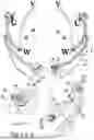 Fig. 09 - 18-AXIS ORIENTATION MECHANISM