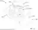 Fig. 07 - TORCH LIGHTERS AND FLAME-COLORING INSERTS THEREFOR