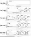 Fig. 08 - LATERAL FLOW IMMUNOASSAY DEVICE AND SYSTEM FOR ASSESSING ASSAY FLOWABILITY AND METHODS OF USING THE SAME