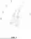 Fig. 02 - SHOCK ABSORPTION MECHANISM