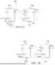Fig. 02 - TECHNIQUES FOR MODELING AND VERIFICATION OF CONVERGENCE FOR HIERARCHICAL DOMAIN CROSSINGS