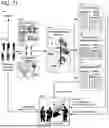 Fig. 91 - ADAPTIVE FOCUSED CONNECTION PROCESSING IN A DYNAMICALLY CONFIGURABLE DIGITAL COMMUNICATION ENVIRONMENT