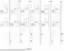 Fig. 03 - PIXEL STRUCTURE, DISPLAY PANEL, AND DISPLAY DEVICE