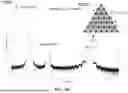 Fig. 83 - SEMICONDUCTOR DEVICE WITH LAYER TRANSFER