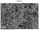 Fig. 04 - FOAMED ELECTRODE STRUCTURE