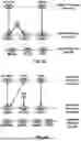 Fig. 06 - Resource Management for Beam Failure Recovery Procedures