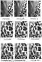 Fig. 08 - COMPRESSED DOMAIN ARTIFICIAL INTELLIGENCE FOR IMAGE SIGNAL PROCESSING