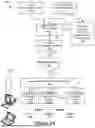 Fig. 02 - Audience Responsiveness Analytics Index for Television Advertising