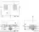 Fig. 22 - TRANSISTORS INCLUDING CRYSTALLINE RAISED ACTIVE REGIONS AND METHODS FOR FORMING THE SAME