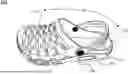 Fig. 01 - TWO-PIECE INJECTION MOLDED SHOE SYSTEM