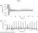 Fig. 09 - HEART RATE VARIABILITY MEASUREMENT SYSTEM AND HEART RATE VARIABILITY MEASUREMENT METHOD