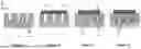 Fig. 02 - METHODS AND DEVICES FOR SKIN TIGHTENING