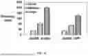 Fig. 05 - BIOACTIVE GRANULAR HYDROGEL SCAFFOLDS AND USE THEREOF