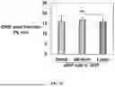 Fig. 07 - BIOACTIVE GRANULAR HYDROGEL SCAFFOLDS AND USE THEREOF