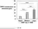 Fig. 08 - BIOACTIVE GRANULAR HYDROGEL SCAFFOLDS AND USE THEREOF