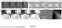 Fig. 09 - BIOACTIVE GRANULAR HYDROGEL SCAFFOLDS AND USE THEREOF