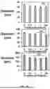 Fig. 11 - BIOACTIVE GRANULAR HYDROGEL SCAFFOLDS AND USE THEREOF