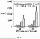 Fig. 14 - BIOACTIVE GRANULAR HYDROGEL SCAFFOLDS AND USE THEREOF